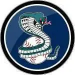 Cobras Logo in Round Shape With Blue Background