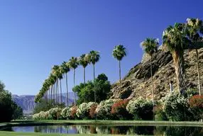 An Image of Palm Springs in 2017