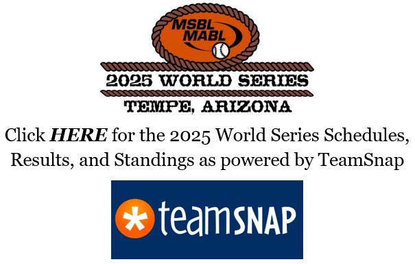 2025 World Series logo and TeamSnap link.