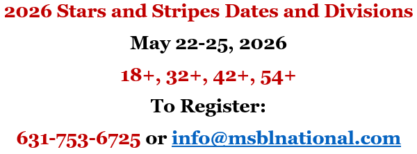 stars and stripes snip 1242025