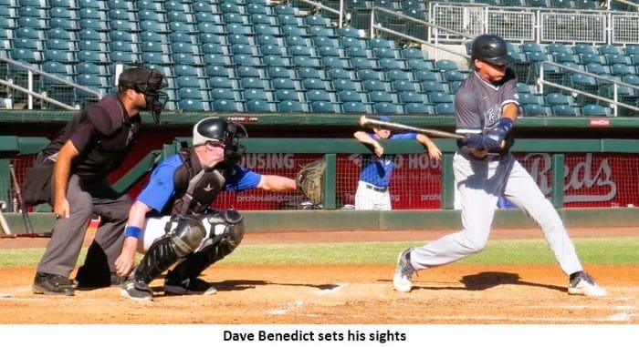 Red cardinal bird mascot logo with a fierce expression.